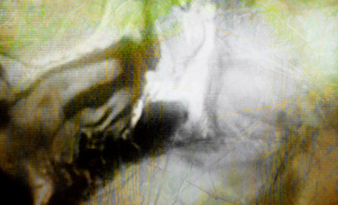 dls04