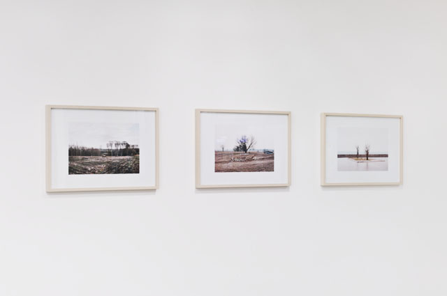 hiatus installation view 14